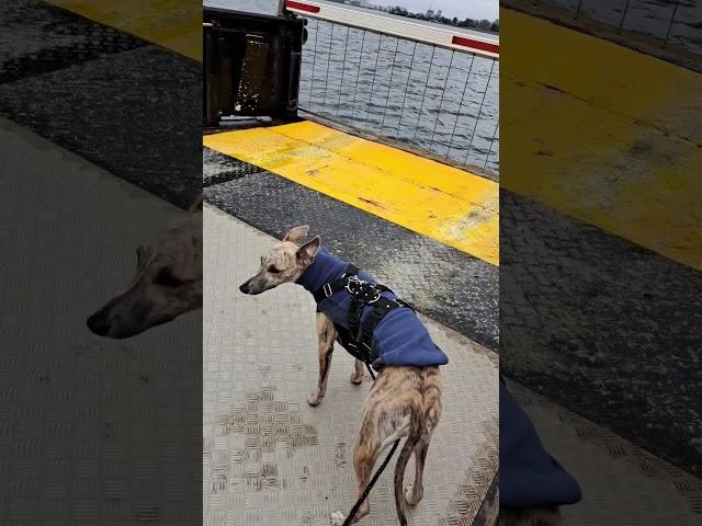 on a boat