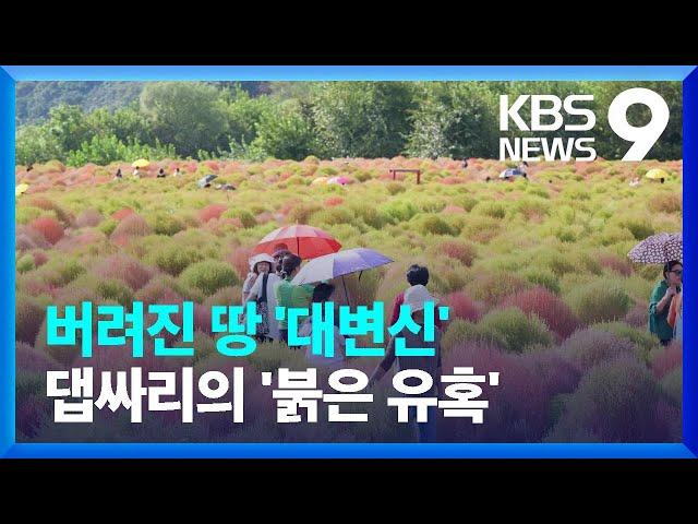 버려진 땅을 관광지로…연천 댑싸리공원의 기적 [9시 뉴스] / KBS  2024.10.07.