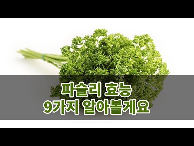 파슬리 효능 9가지 알아볼게요