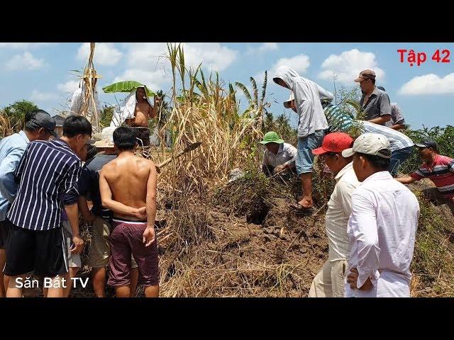 Dig a cave to catch snakes episode 42: Believe Is Real | Hunting Catching TV