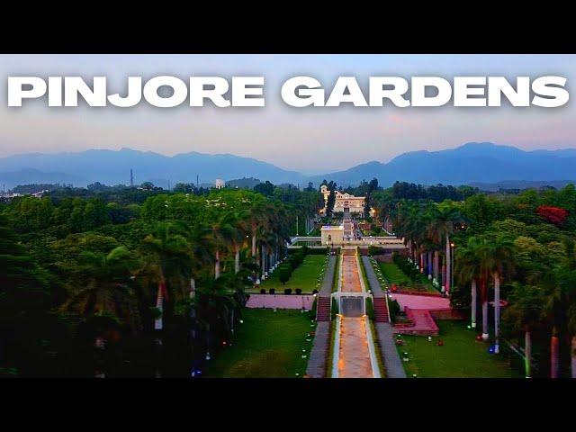 Pinjore Gardens is Heaven at Night || Yadavindra Gardens Pinjore Drone View