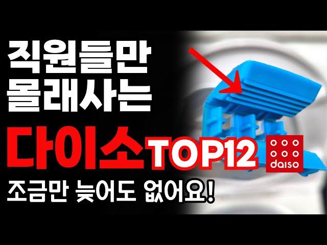 다이소 VVIP가 알려주는 절대 후회없는 추천템 12가지 / 다이소 꿀템 / 다이소 품절대란 / 청소 정리 꿀템 / 다이소 추천템