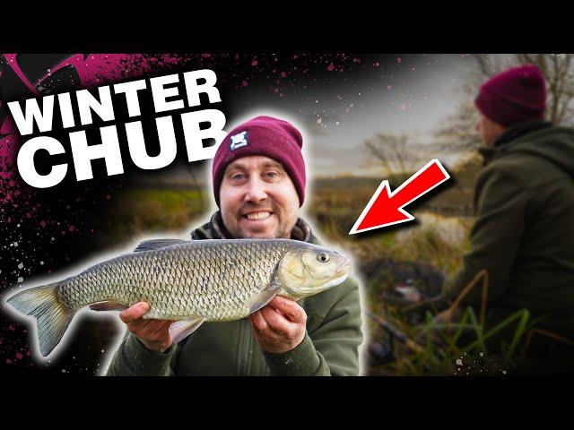 Catch Chub During The Winter Months! Rich Wilby Live Session