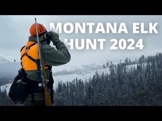 Montana Elk Hunt 2024