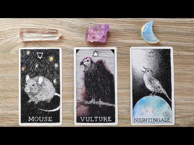 YOU ARE MEANT TO RECEIVE THIS GIFT FROM THE UNIVERSE!  Pick A Card  Timeless Tarot Reading