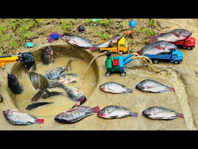 catch fish using mini powerful diesel engine water pump for fish in pond  | fishing exciting