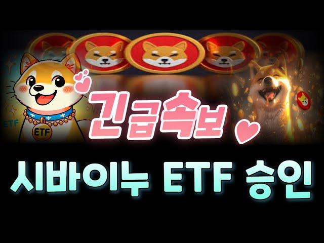 [긴급속보] 시바이누코인 시바ETF 출시확정! 세력들의 노림수를 폭로합니다 #도지코인 #시바이누코인