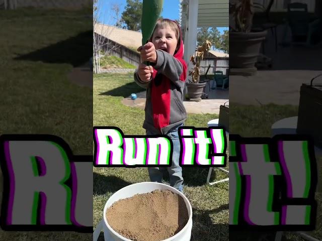 Gold in Home Depot sand #goldpanning #sluice #goldrush #fatherson