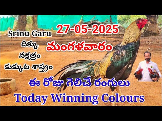 27 May 2025 Today Winning Colours//kukkuta sastram//colour update #telugu