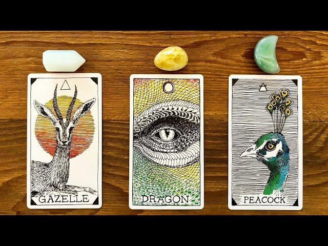 GOOD NEWS FROM YOUR FUTURE SELF! | Pick a Card Tarot Reading