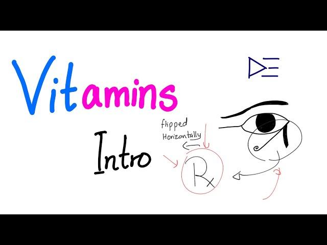 Introduction to Vitamins ‍