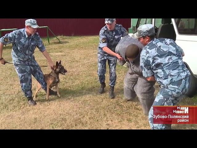 Четвероногие сотрудники Федеральной службы исполнения наказаний показали, чему научились