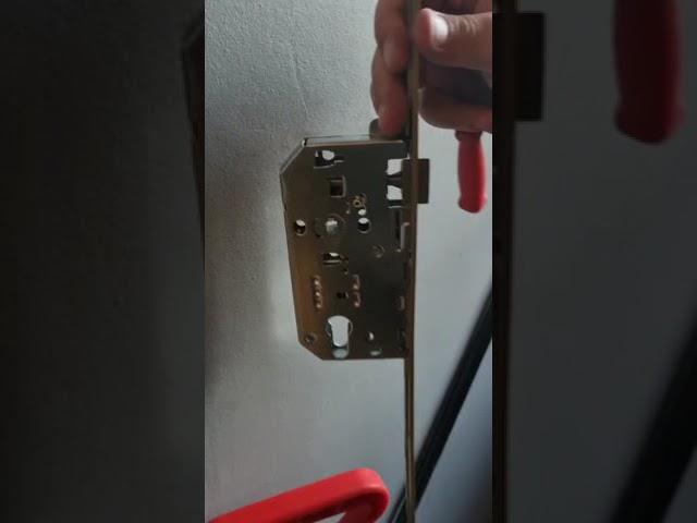 retourné demi tour serrure larder sur vachette bricard heracles  serrurier-parispascher.fr