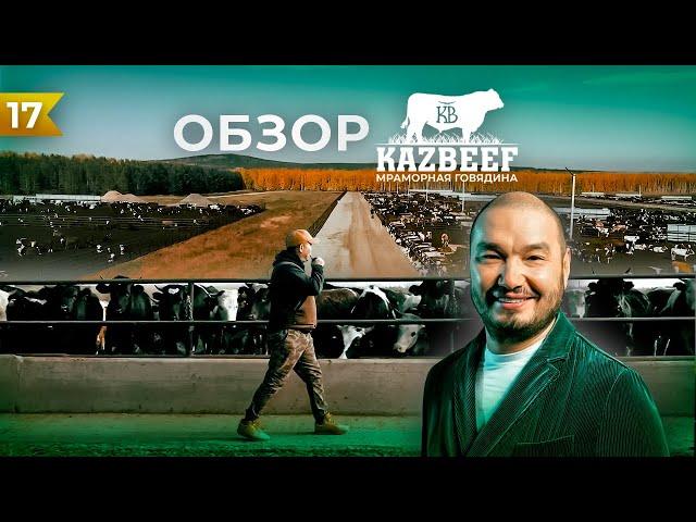 Обзор откорм площадки, репродуктора и мясокомбината KazBeef