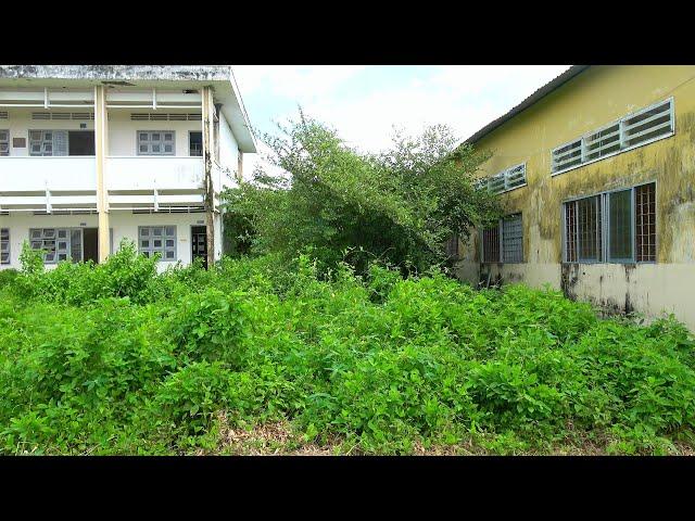 Quickly clean up the abandoned high school, overgrown with grass