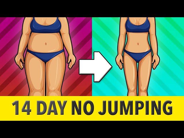 14 Day No-Jumping Weight Loss Workout Challenge