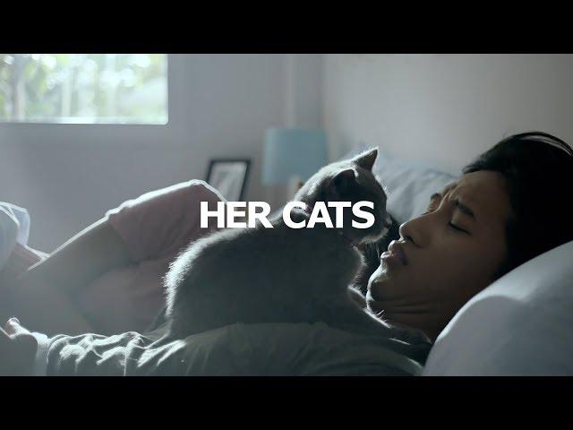 IKEA - HER CATS - Now, There’s Choice (EN)