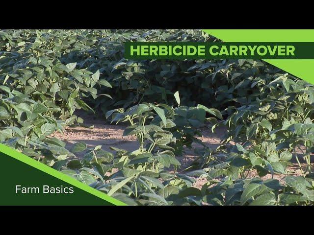 Farm Basics #1124 Herbicide Carryover (Air Date 10-20-19)