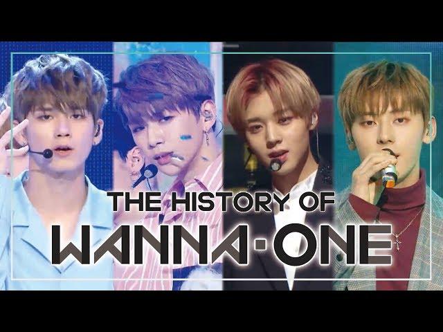 WANNAONE SPECIAL Since 'Energetic' to 'Spring Breeze'(47m stage compilation)