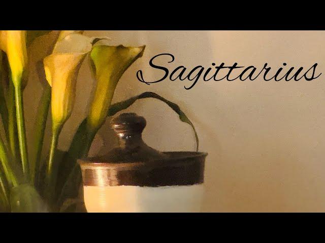 Sagittarius ️ ~ Jan 2025 Monthly Tarot Reading