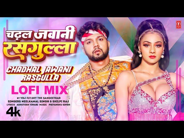 Lofi Mix By VDJ FLY,SKY THE SANGEETKAR चढ़ल जवानी रसगुल्ला | #Neelkamal Singh #Shilpi Raj #Namrita