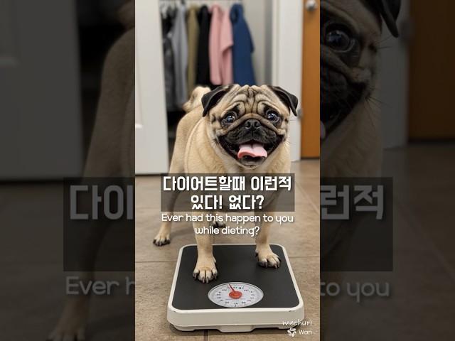 다이어트할때 이런적 있다! 없다? #퍼그 #강아지 #개 #다이어트 #pug #puglife  #dogshorts #puppylife #퍼그일상 #diet #ai쇼츠 #동물힐링