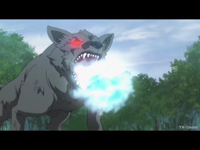 The Fruit Of Evolution - Seichi vs Acro Wolf! (English Dub)