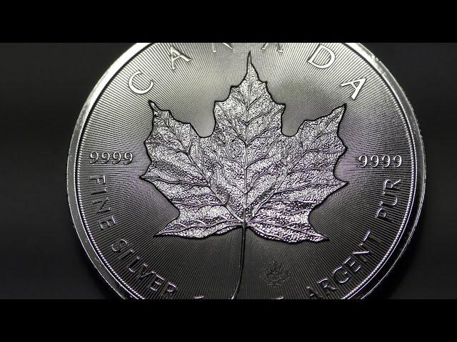 7 Silver Bullion Coins From Around the World--in 4K!