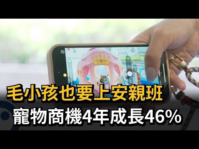 毛小孩也要上安親班　寵物商機4年成長46％－民視新聞