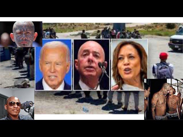 Kamala Biden Have Allowed Over 13k  Illegal Murders Into America And 650k Criminals