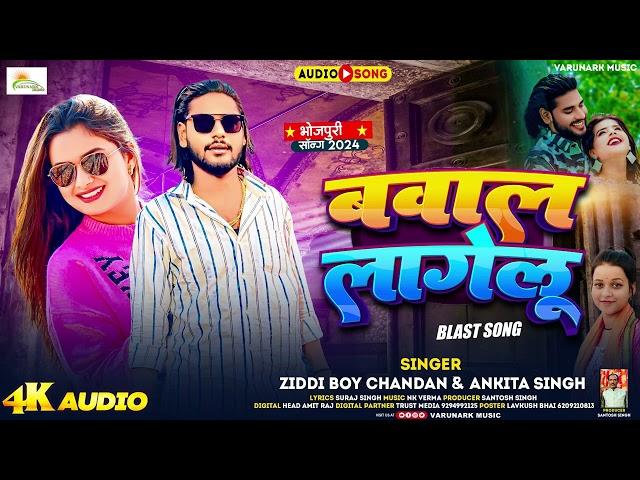 #video | Bawal Lagelu | #ziddi Boy Chandan | #Ankita Singh | #bhojpuri Song | बवाल लागेलु |Love Song