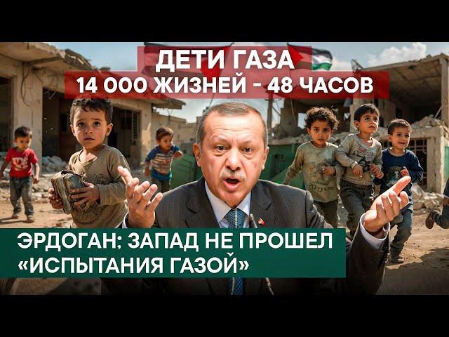 Новости Турции | Европа против Израиля | условия Нетаньяху | сектор Газа | Палестина