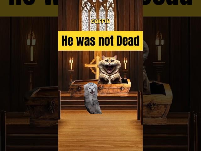 The Man Woke Up in his Coffin ️