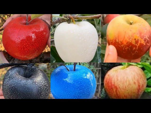 Apple different colours you should know about -white Apple,blue