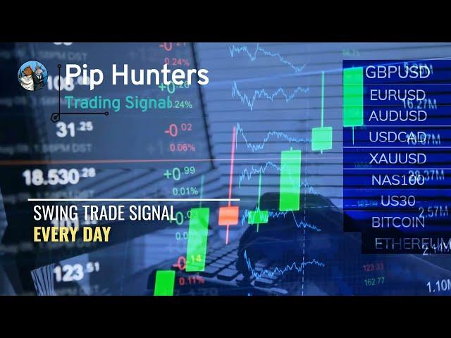 Forex Swing Trade Trading Signal Every Day | Pip Hunters 