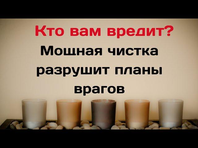 Кто вам вредит? Мощная чистка уничтожит все замыслы ваших врагов.