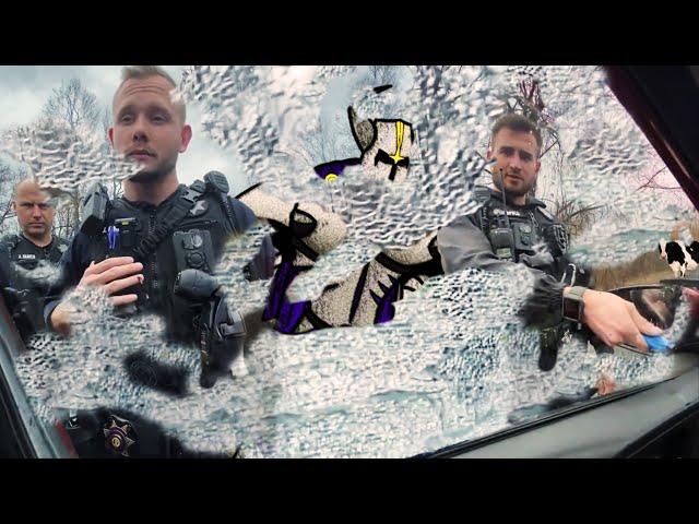 Wild SovCit’s Window Smashed: Ignoring Repeated Warnings & Promises