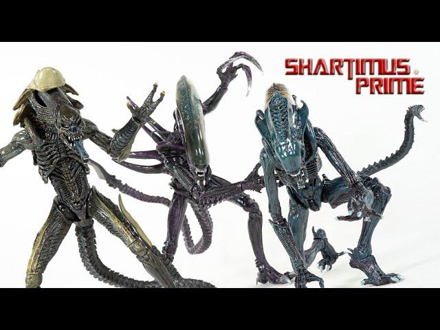 NECA Aliens AVP Video Game:Movie Mash Up Razor Claws, Arachnoid, and Chrysalis Aliens Action Figure