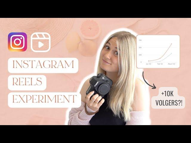 Experiment: HALF JAAR INSTAGRAM REELS POSTEN - Wat levert het op? Moet jij ook reels gaan plaatsen?