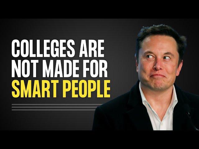 You don't need a college degree to be successful - Elon Musk