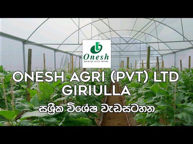 ගිරිඋල්ල Onesh Agro (PVT) Ltd පටිගත කරන ලද සශ්‍රීක වැඩසටහන ‍ | සශ්‍රීක | Shashrika | EP-01