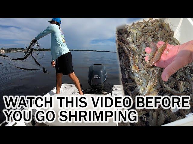 Watch this Video Before You Go Shrimping | Tips & How to Catch Shrimp | Where to Find Shrimp