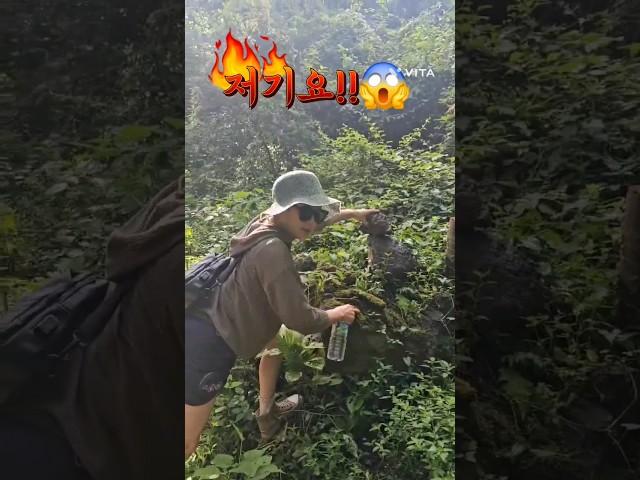 막 집어가시면 앙돼요!!#여행 #코믹 #이해자다육