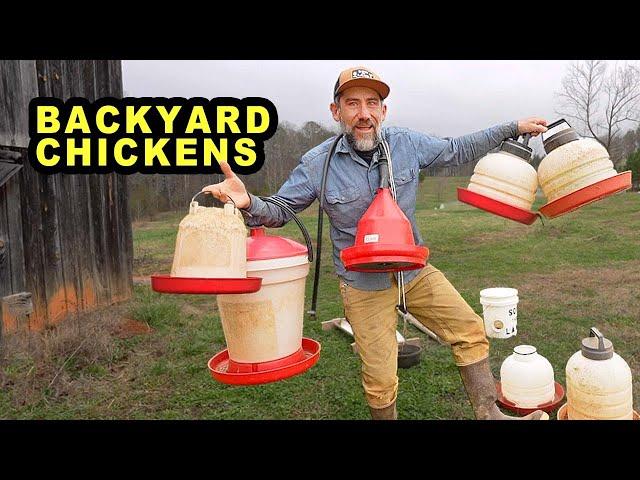 Choosing the Best Chicken Feeder and Waterer for Your Flock