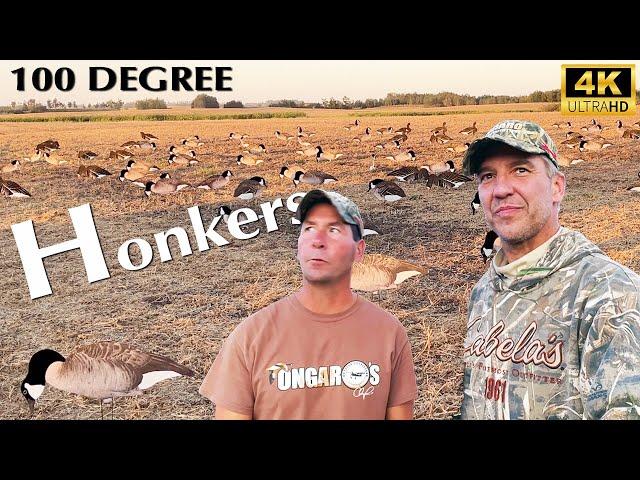 100 Degree Honkers | Hired to Hunt Duck & Goose Hunting Limits in Alberta @Cabela-s @divebombsquad