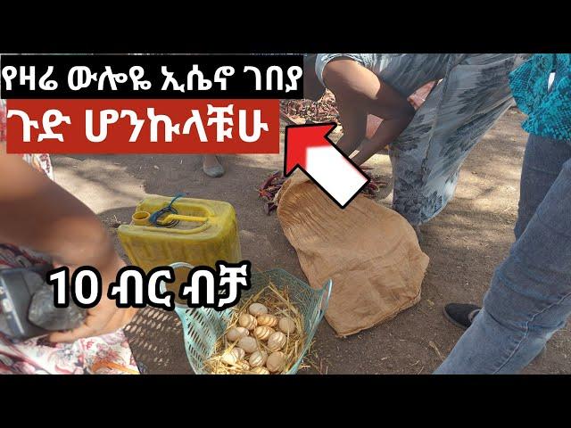 ኢሴኖ ገባያ ሄጄ ጉድ ሁንኩላቹሁ#maedotጉራጌዋ