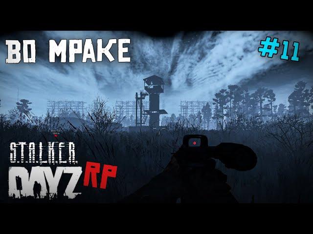 МРАЧНОЕ МЕСТО. DAYZ STALKER RP 11 серия