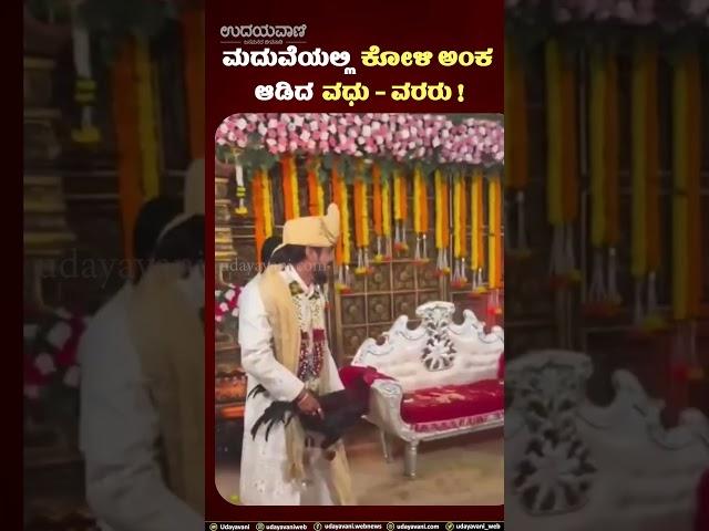 Viral Video : ಉಡುಪಿ | ಮದುವೆ ಮಂಟಪದಲ್ಲೆ ನಡೆಯಿತು ಭರ್ಜರಿ ಕೋಳಿ ಅಂಕ ! | Udayavani