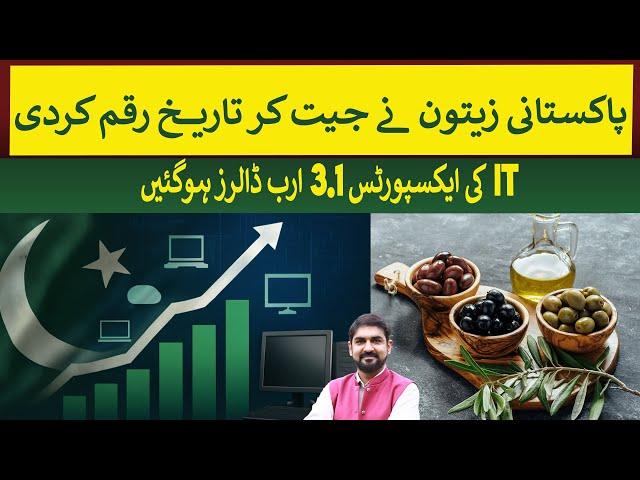 Pakistani Olive Oil Makes History at World Competition  | Rich Pakistan