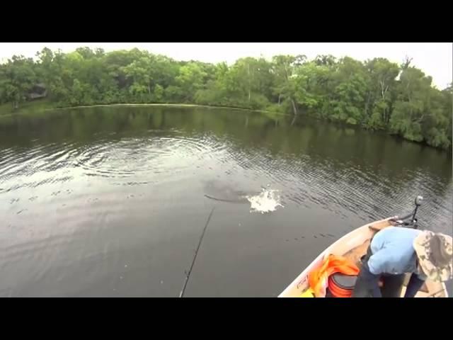 MUSKIE FISHING - TEAM PREDATOR NATION OFFICIAL INTRO